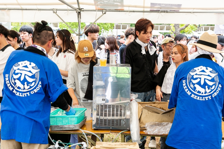 ドリームリアリティ